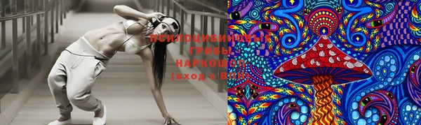 трава Белокуриха