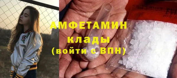 трава Белокуриха