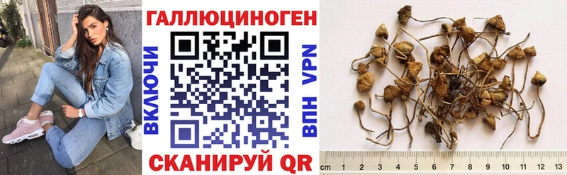 Галлюциногенные грибы GOLDEN TEACHER  Купить где  Астрахань 